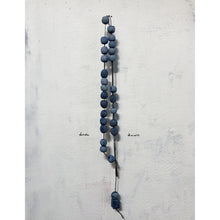 Load image into Gallery viewer, Box Set | Spring of 2020 Edition