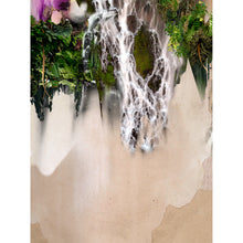 Load image into Gallery viewer, Box Set | Spring of 2020 Edition