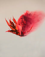 Canary in the Coal Mine