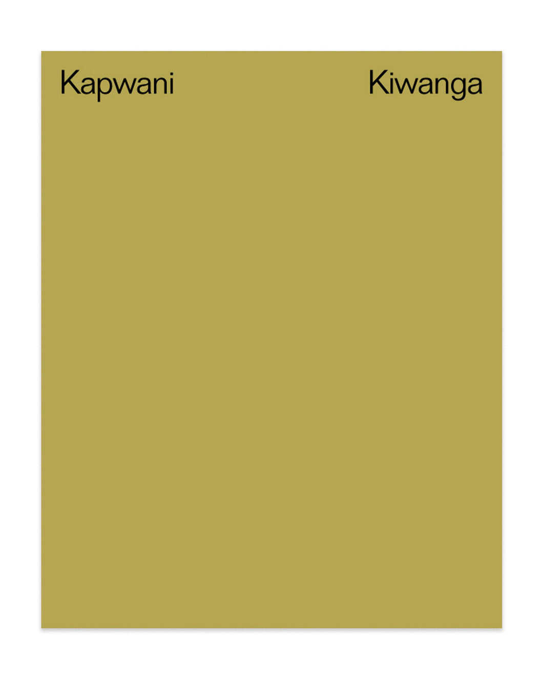 Kapwani Kiwanga