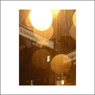 Box Set | Spring of 2020 Edition